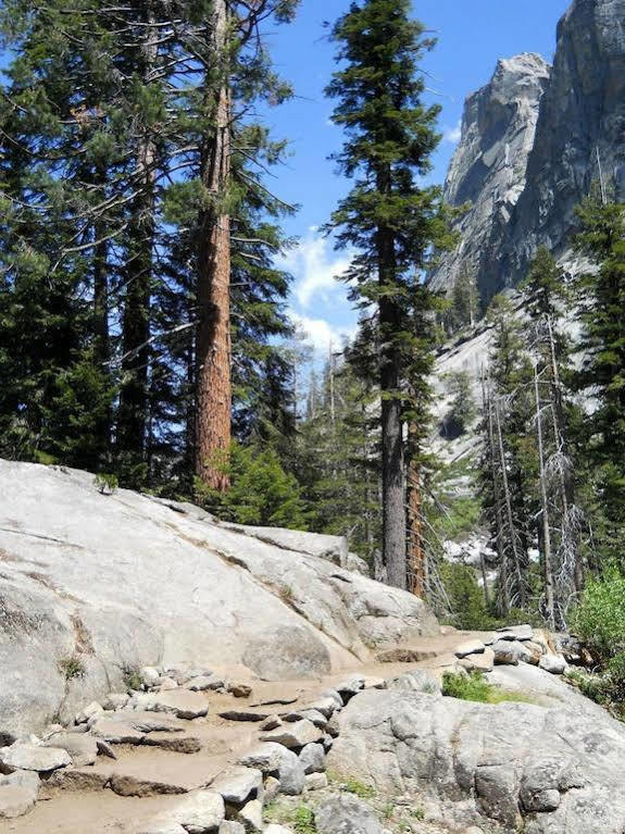 Stony Creek Lodge Sequoia National Park Exteriör bild