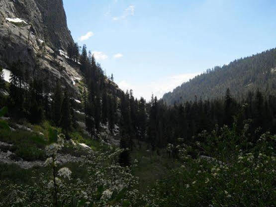 Stony Creek Lodge Sequoia National Park Exteriör bild