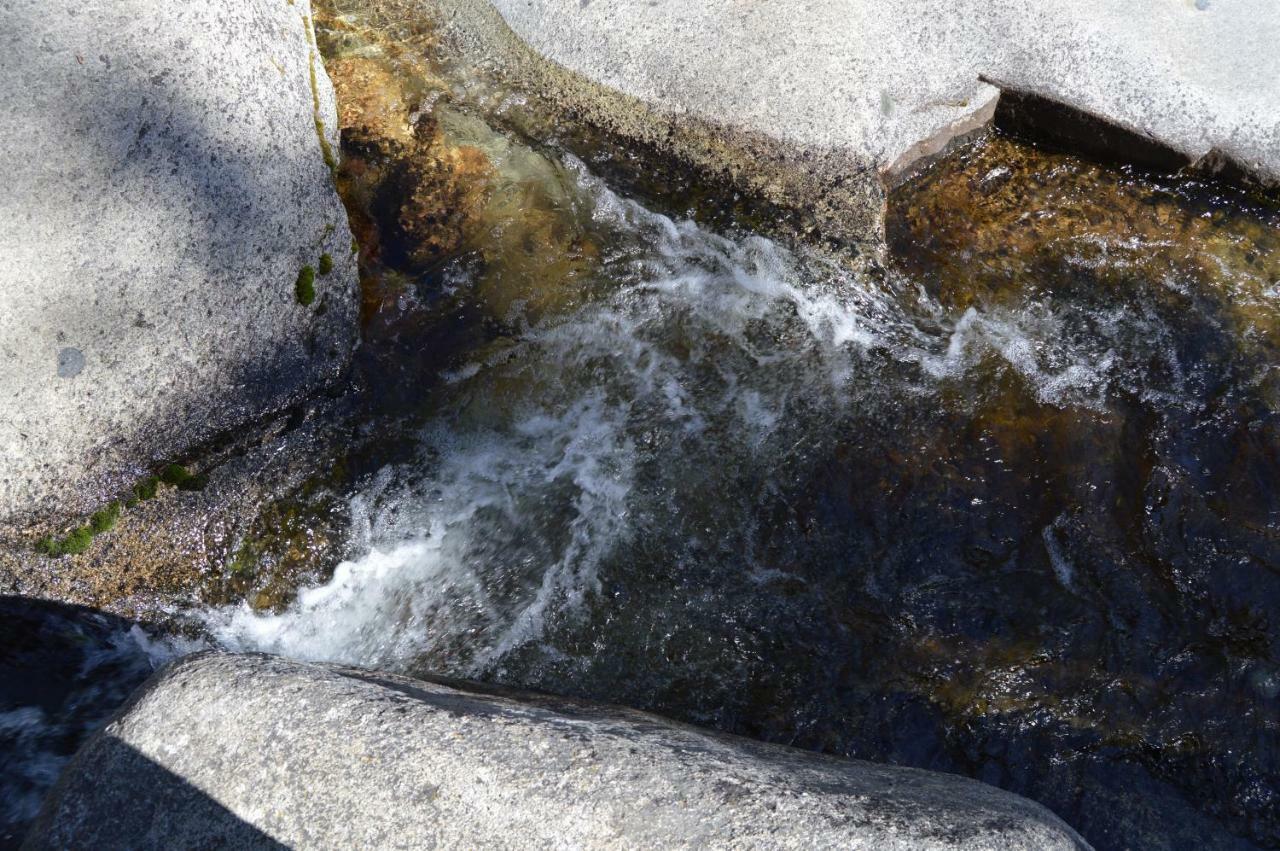 Stony Creek Lodge Sequoia National Park Exteriör bild