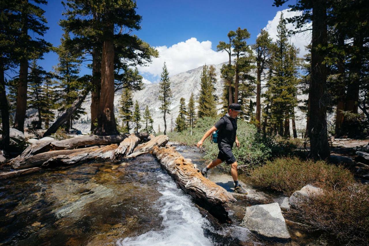 Stony Creek Lodge Sequoia National Park Exteriör bild