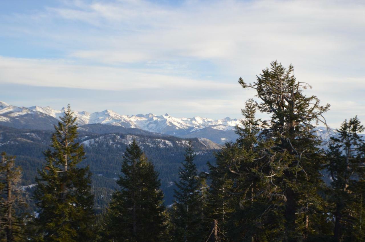 Stony Creek Lodge Sequoia National Park Exteriör bild